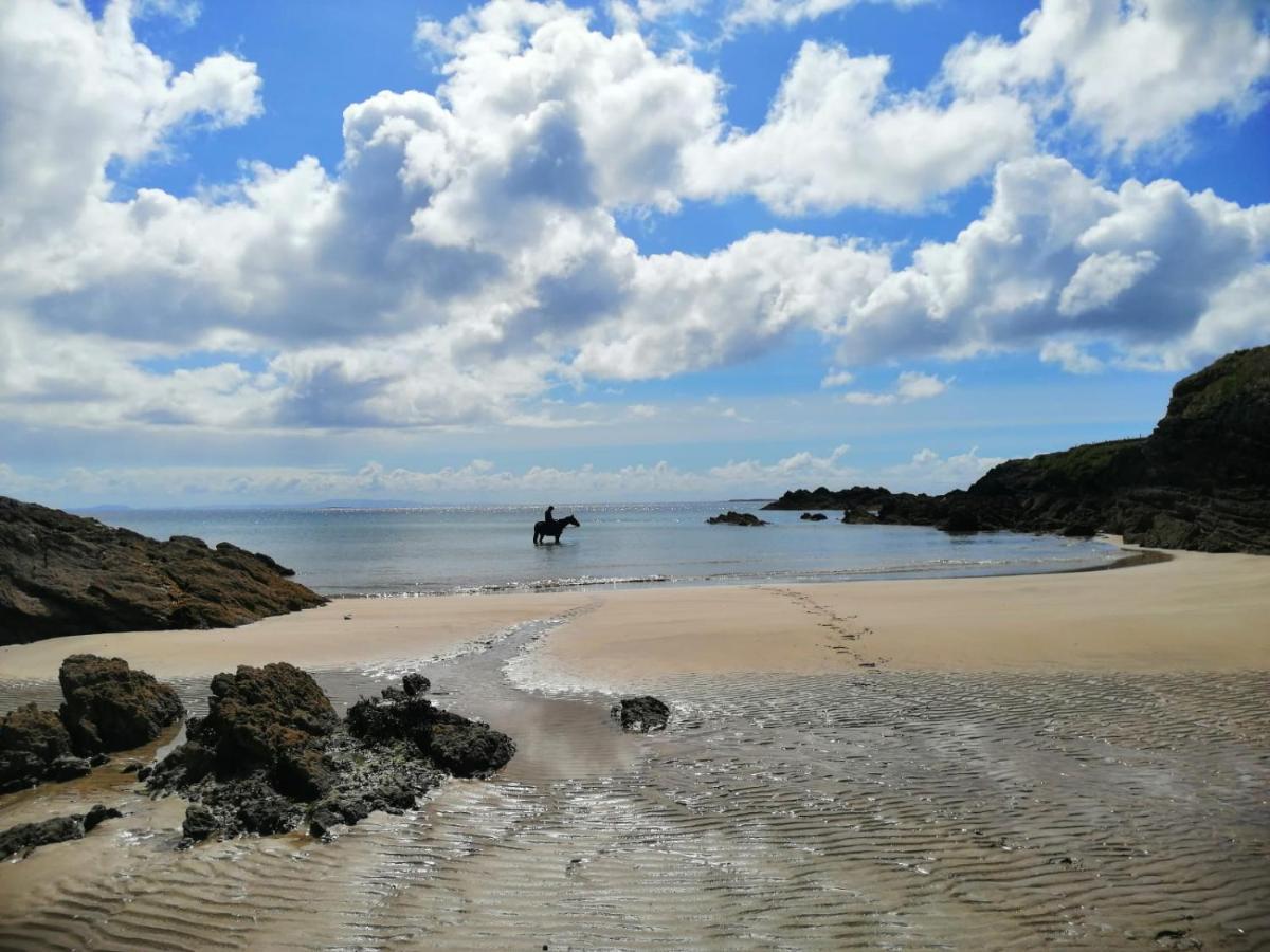 Seawinds Bed And Breakfast Killybegs Bagian luar foto